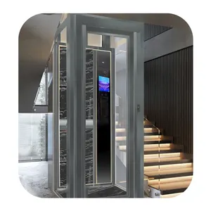 Elevator Traction Villa Household Elevator Small Sightseeing Elevator 4-5 People