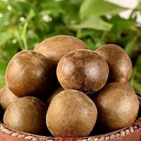 Gros Fruit chinois bien sec Offre Spéciale prix de gros