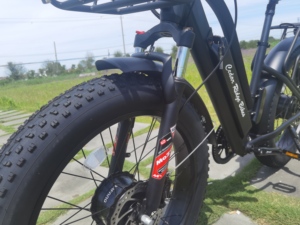 Manufacturer Direct Sales Low-priced Dual 48V 750W Motor Mechanical Disc Adult Fat Tire Unrivaled AWD Performance Dual 750 - Product Image 3