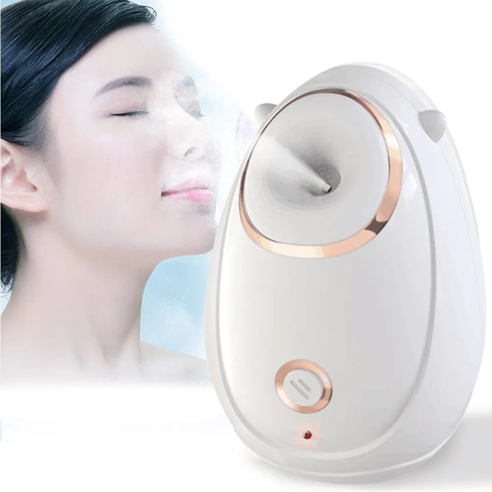 Apparecchiatura di bellezza Domestici Sauna Elettrico Faccia Macchina A Vapore Spa Umidità Umidificatore Nebbia Nano Ionico Vapore Facciale