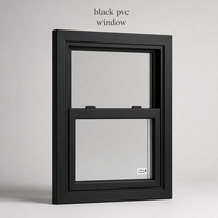 Fenêtre à guillotine simple en PVC noir remplie d'argon, design personnalisé, garantie 10 ans, haute efficacité énergétique pour les maisons