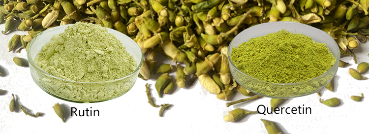 عصاره خالص Sophora Japonica 95% پودر روتین CAS 153-18-4 4