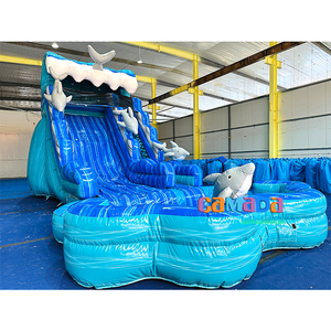 Outdoor 20ft Inflat <span class=keywords><strong>2</strong></span> Lane Volwassen Commerciële Pvc Zijkanten Opblaasbare Waterglijbaan Met Zwembad Dolfijn Waterglijbaan - Product Image 6