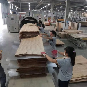 High <strong>Frequency</strong> Timber Veneer Dryer RF Vacuum Wood Drying <strong>Machine</strong> Kiln Tank <strong>for</strong> Wood Mill - Product Image 5