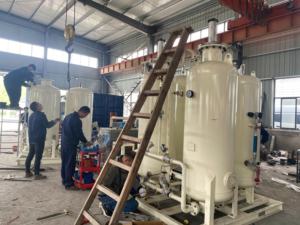 Élevage de crevettes pisciculture concentrateur d'oxygène générateur système de gaz équipement de système d'aquaculture avec CE/ISO9001 - Product Image 2