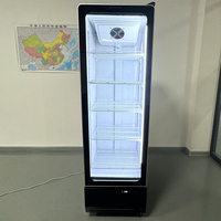 Réfrigérateur commercial vertical à porte unique pour boissons, avec éclairage LED, refroidissement direct, personnalisable, certifié Energy Star