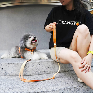 人間工学に基づいたマーチンゲール式ノープルハーネス 犬用 ソフトネオプレンパッドと高密度ナイロン製で一日中快適な着用感 - Product Image 2