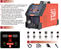 DANENG Poste à souder MIG portable à onduleur CE 250A pour soudures sous gaz CO, pour fonte et acier au carbone 220V