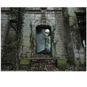 72x30 inç perili seramik karo zombi eller pencere kapı kapak plastik parti malzemeleri cadılar bayramı partileri için - Product Image 5