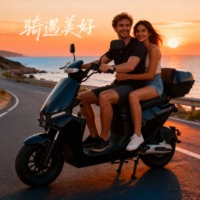 Speciale Aanbieding Groothandel SHENGGE Commuter E-Motorfiets 60V 800W 10-inch Band E-mark Goedgekeurd Schijfrem 45-55km/u