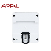 Compteur prépayé bidirectionnel AMPPAL OEM avec minuterie à réenclenchement automatique, compatible Tuya Smart Life, Wi-Fi, numérique, monophasé, 100A, classe 1.0