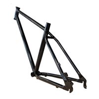 Pièces de vélo électrique populaires TRB, cadre Dengfu haute performance, moteur sans balais en chrome-molybdène fait à la main, modèle noir/blanc