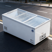 Offre Spéciale d'usine litre différent maison mini réfrigérateur d'aliments frais réfrigérateur congélateur maison réfrigérateurs hôtel mini réfrigérateur