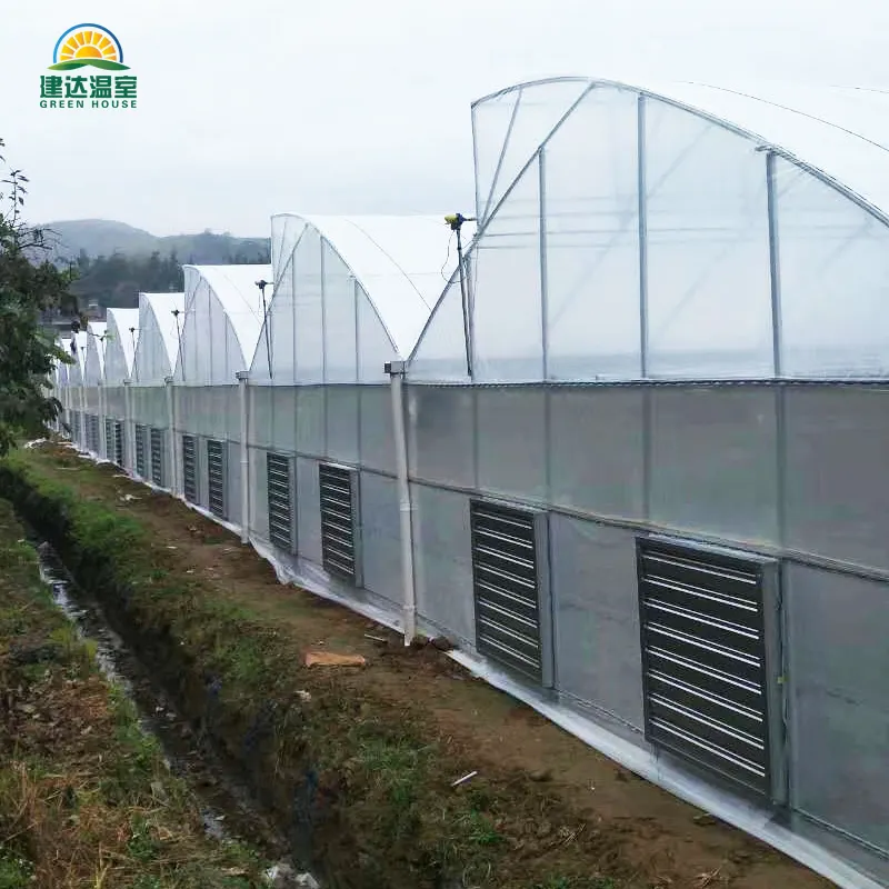 水耕灌漑垂直農業自動成長システムを備えたイチゴ用鋸歯状農業温室