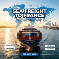 Agent maritime pas cher de Chine vers l'Arabie Saoudite, l'Égypte, la Jordanie, le Qatar, Oman, le Koweït – FCL, LCL, DDP, DDU par transitaire maritime