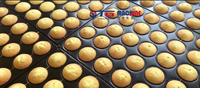 Machine de fabrication de biscuits et de cupcakes à production à grande vitesse avec fonctions multiples