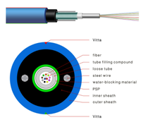 4 6 8 12 24 48 96 144 Core Cable de fibra óptica para minería ignífugo MGXTSV Cables de comunicación para comunicaciones mineras