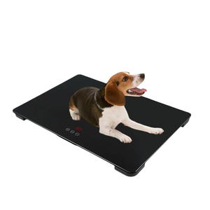 Balança <span class=keywords><strong>Postal</strong></span> Eletrônica Veidt de 100kg, Preço de Fábrica, Balança Digital de Plataforma Grande para Animais de Estimação, Balança Digital para Cães - Product Image 1