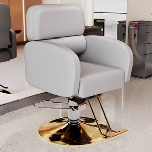 Sedia da Parrucchiere Professionale con Base Dorata Moderna, Vendita all'Ingrosso - Product Image 2