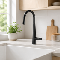 Robinet de cuisine monocommande noir mat avec bec long pivotant, mitigeur moderne sans plomb, économie d'eau, résistant à la rouille