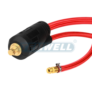 Pistolet de soudage TIG professionnel TEMWELL WP17, ensemble complet avec 10 consommables différents pour une utilisation immédiate - Product Image 5