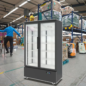 Vetrina Freezer Verticale <span class=keywords><strong>a</strong></span> 2 Porte con <span class=keywords><strong>Porta</strong></span> in Vetro, Acciaio Inossidabile, Refrigerazione <span class=keywords><strong>a</strong></span> Raffreddamento Diretto - Product Image 4