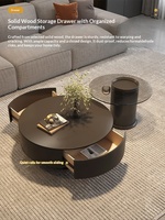 Table basse moderne en pierre frittée avec rangement, structure en bois massif, personnalisation OEM ODM, mobilier de salon, design minimaliste moderne