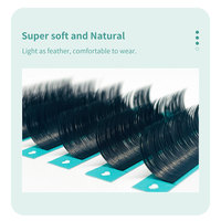 DIYDAY Meilleur Prix Extensions de Cils Naturels Écologiques Durables en Faux Vison CC Ultra Légers et Doux, Faits à la Machine, Effet Volume Ellipse