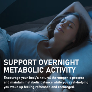 Cápsulas Quemagrasas Nocturnas de Venta Caliente, Apoyan el Metabolismo y el Sueño Rápido con Extracto de Micelio de Xylaria nigripes - Product Image 6