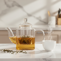 Bouilloire à thé moderne en verre borosilicate carré de 350 ml (12 oz), compatible avec les plaques de cuisson, avec infuseur en verre pour infuser le thé