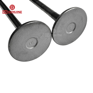 DS ORIGINAL Neue SAA6D170E 10,0L Motor Einlassventile 4007179 4089089 5473273 6240-41-4110 / - Product Image 3