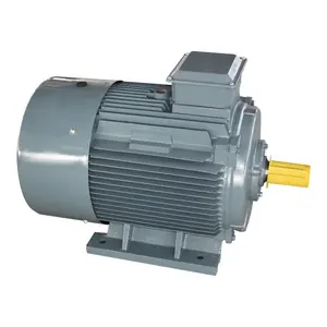 Top ten Chinese supplier 100% copper 3 phase ac induction motor 45KW 60HP