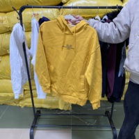 Sweat-shirts à capuche d'occasion en gros pour les friperies et les revendeurs – Lots de sweats à capuche usagés