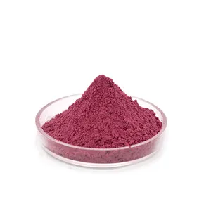 Estratto di mirtillo rosso-estratto-polvere di mirtillo rosso di elevata purezza (antocianina) estratto di frutta