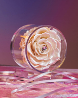 Boîte acrylique bricolage bonsaï éternel fleurs roses durables fleurs roses immortelles conservées