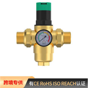 Vanne de réduction de pression à double joint en laiton à haut débit de type Honeywell avec régulation réglable - Product Image 5