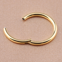 Grosir Cincin Hidung Titanium F136 Cincin Tragus Telinga Cincin Berengsel Emas Segmen Cincin Desainer Cincin Hidung