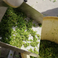 Industriële commerciële schroefpers voor watermeloen- en mangosap, fruitpulp, melk, water en meel, van 304 roestvrij staal.