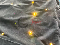 WW 3200K Couleur Temp LED Star Rideau Nuit Ciel Tir Tissu Écran Blanc Chaud Lumière Toile de fond avec Matrix Light