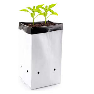 Grado personalizado negro HDPE polietileno Poly plántulas plantas de jardín vivero crecer bolsas de plástico resistente a los rayos UV para plantas y plántulas - Product Image 3