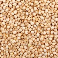Quinoa Gandum Utuh Kelas Ekspor untuk Importir, Pedagang Grosir, dan Distributor Makanan