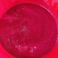 Industriële Geavanceerde Nopal Cactus Fruit Pulp En Zaad Separator Machine Met Hoge Opbrengst