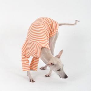 Qiqu perlengkapan hewan peliharaan kaus garis kustom ramah lingkungan lucu pakaian Anjing Greyhound Italia 100% katun bergaris kaus kain bergaris - Product Image 4