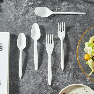 Wholesale White Restaurant Takeaway Teaspoons Cuchara Desechable Pp Disposable Plastic Spoon