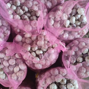 <span class=keywords><strong>Vendita</strong></span> calda della fabbrica 3.0-4.5cm normale bianco fresco aglio bulbi alla rinfusa per la <span class=keywords><strong>vendita</strong></span> di esportazione in Congo - Product Image 4