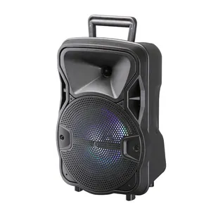 Professional new portable wireless karaoke amplifier spike outdoor USB charging bt speaker