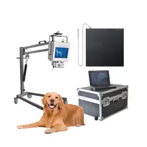 SY-D019B_Vet Advanced High Frequency 100mA 5KW Veterinary Use Portable X Ray For Animal