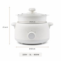 Poêle à frire multifonction portable, chauffage rapide, 800W, couvercle en verre, capacité 3L, marmite électrique multifonction intégrée