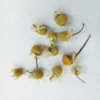 Camomille Matricaire fleur coupee bio Matricaria recutita fleur de haute qualité à vendre