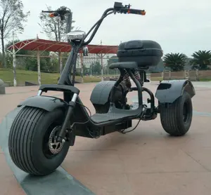Scooter électrique halten 60v 3200 e-scooter casque motosiklet 6000w senioren turbo riva eletrica enjoycare citycoco